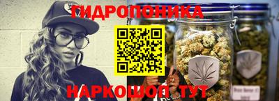 спайс Владимир