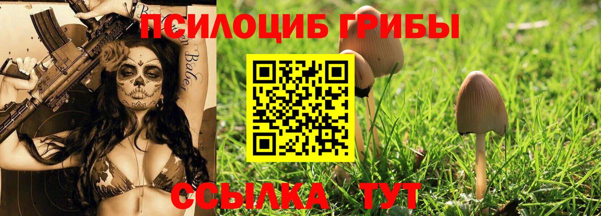 Гусев  наркота  Вход с VPN  Галлюциногенные грибы MAGIC MUSHROOMS 