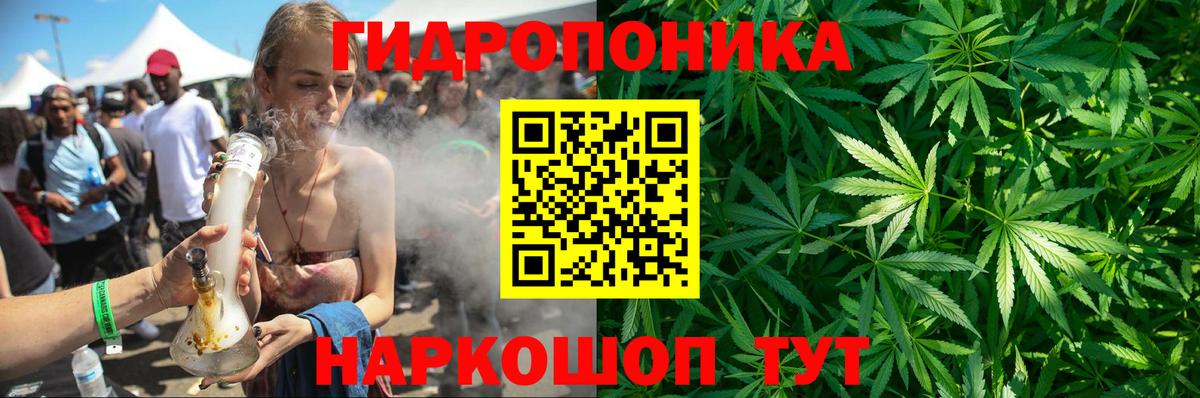 Бошки Шишки конопля Гусев